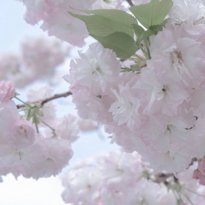 兽设天空场景绘制Furry群